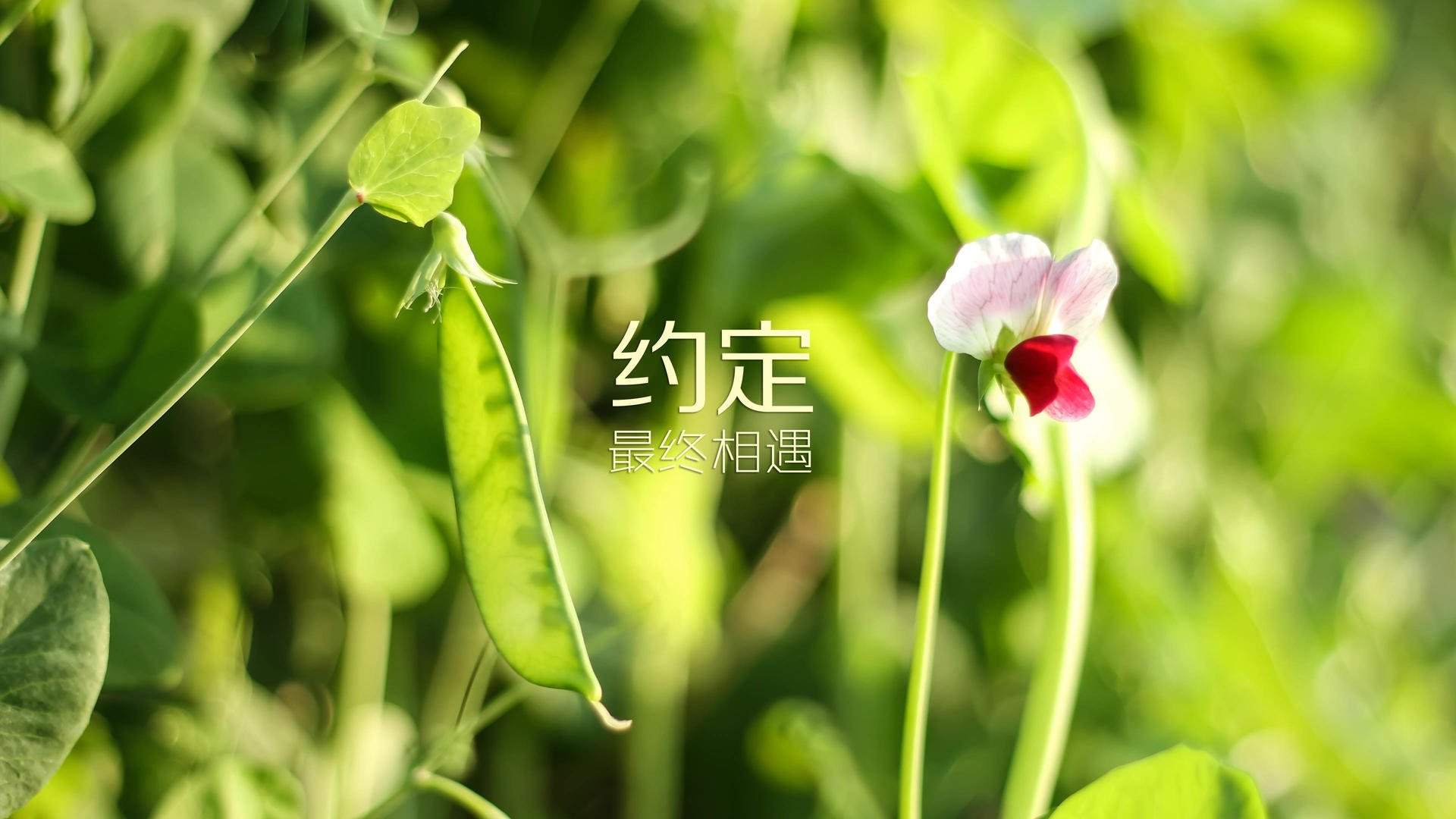 赛场内外：激烈比拼的战术分析与战役点评，战术对打