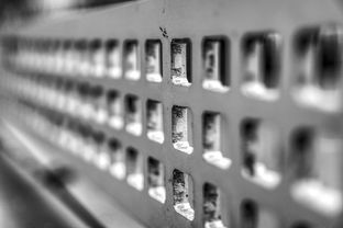 开云体育app官网-高校运动训练科学管理模式创新实践，运动训练科研管理工作要求