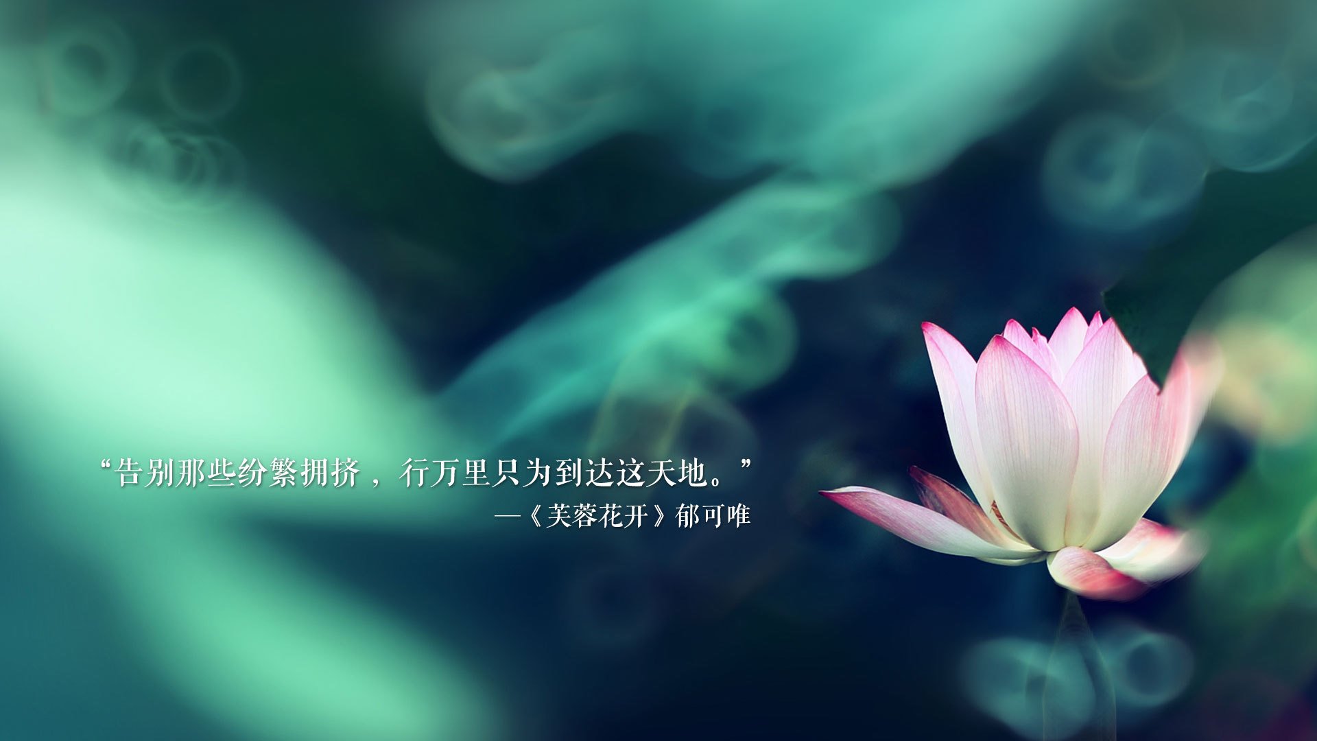 开云体育官网app-中国男篮全力冲刺赛季冠军，中国男篮全力冲刺赛季冠军是谁