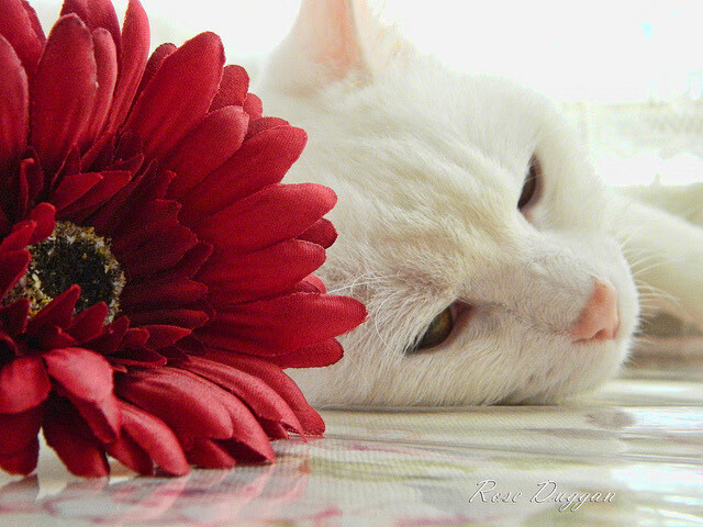 青训系统互联互通跨区域人才流动更顺畅