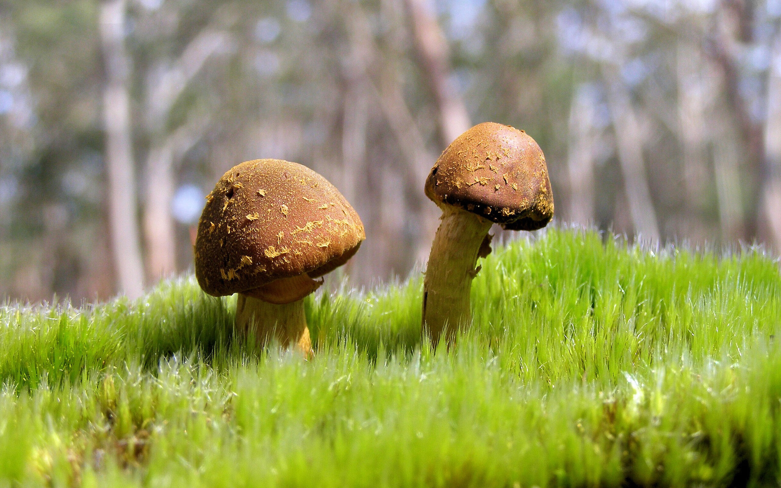 中国足球联赛赛事转播技术不断革新，各大足球联赛转播权